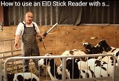 Trutest XRS EID Stick Reader with sheep