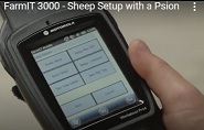 Sheep setup with a Psion handheld EID reader