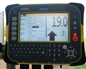 Tru-Test XR5000 Weigh Head