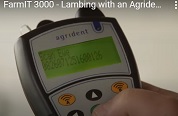 Lambing with an Agrident data reader