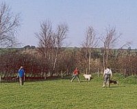 Catching a Ewe