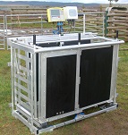 FarmIT 3000 Sheep Weigh Crate